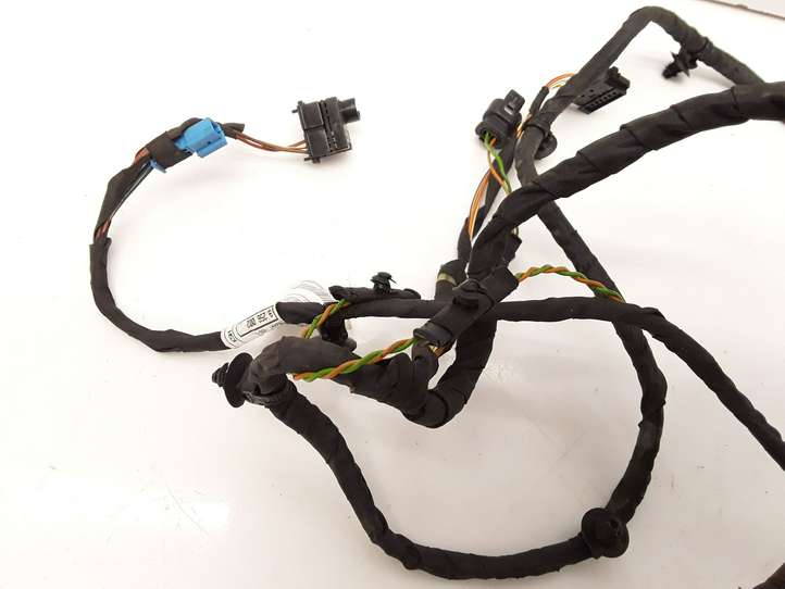 BMW 5 F10 F11 (2009 - 2016)  9256002 Проводка передних дверей