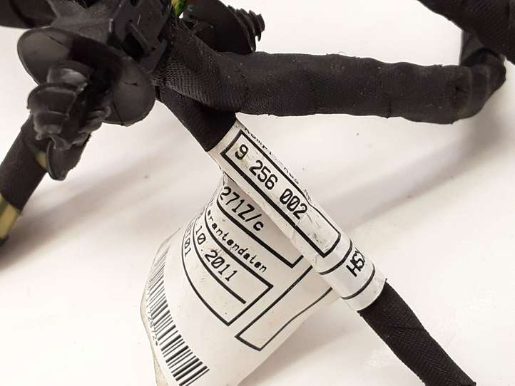 BMW 5 F10 F11 (2009 - 2016)  9256002 Проводка передних дверей