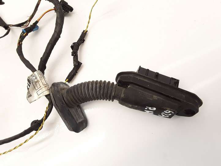 BMW 5 F10 F11 (2009 - 2016)  9255985 Проводка передних дверей