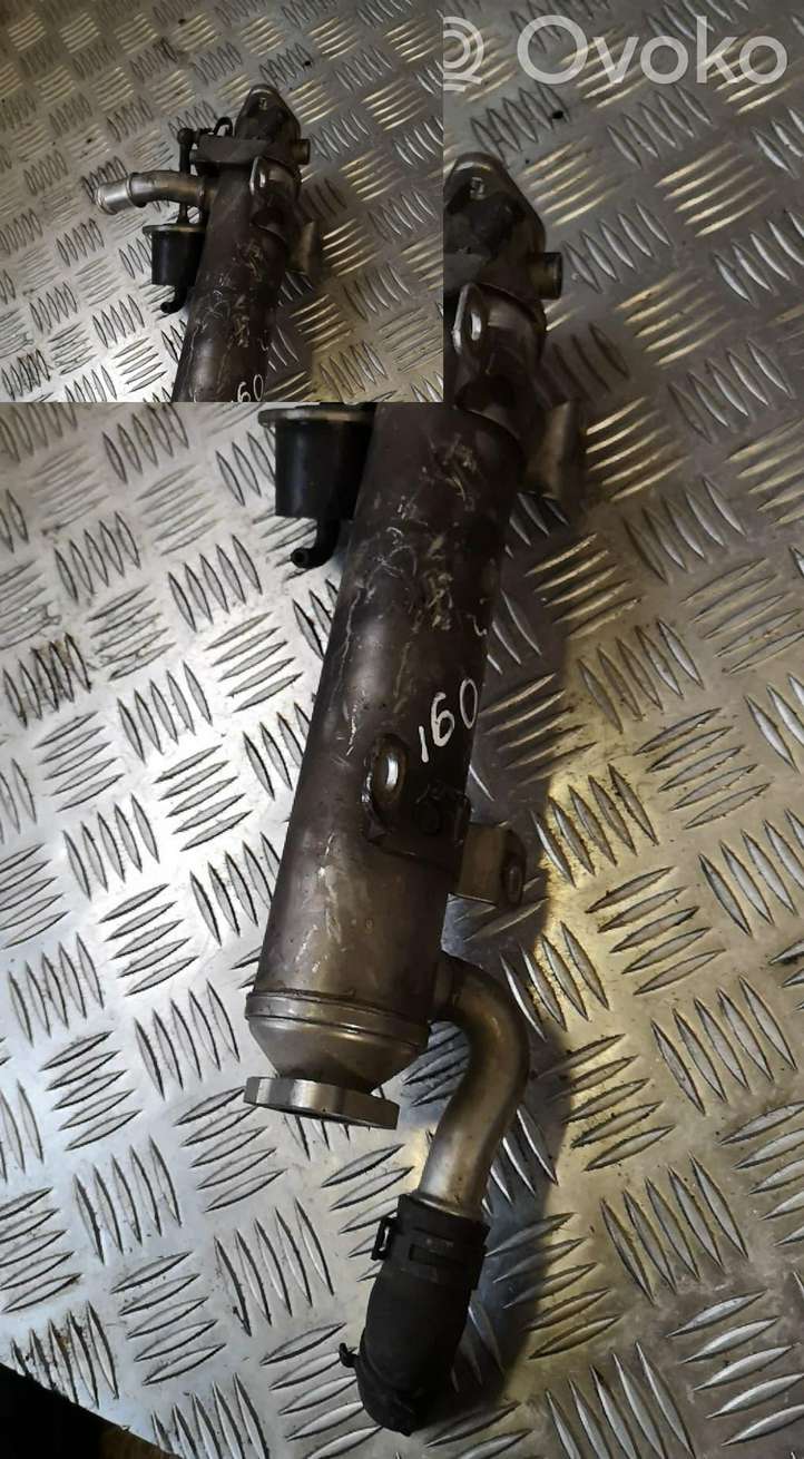 Audi A3/S3 8P (2008 - 2013)   Охладитель EGR