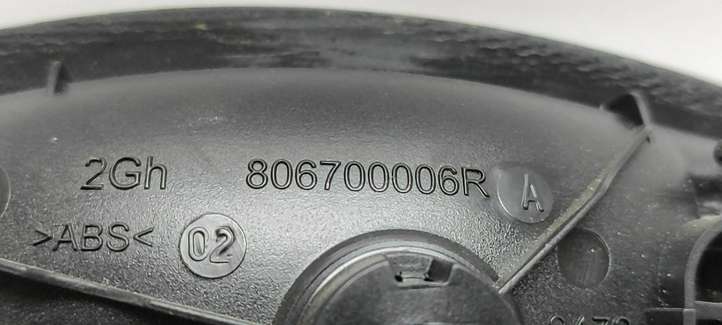 Renault Trafic III (X82) (2014 - )  806700006R Внутренняя ручка