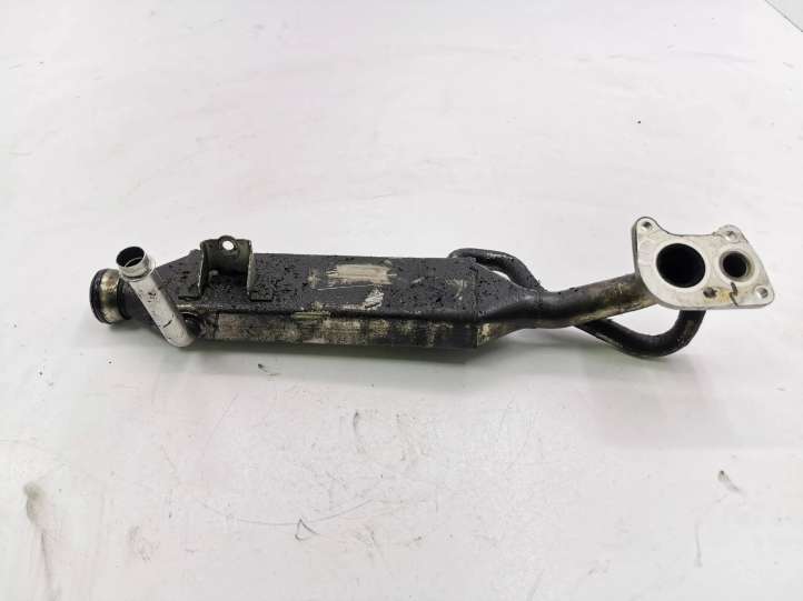 Chrysler 300C (2005 - 2011)  16421400975 Охладитель EGR