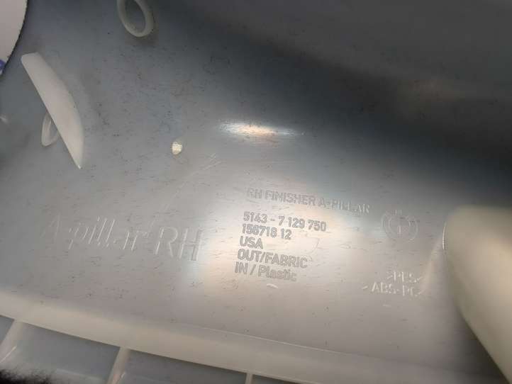 BMW X5 E70 (2006 - 2013)  51437129750 Отделка стойки (A)