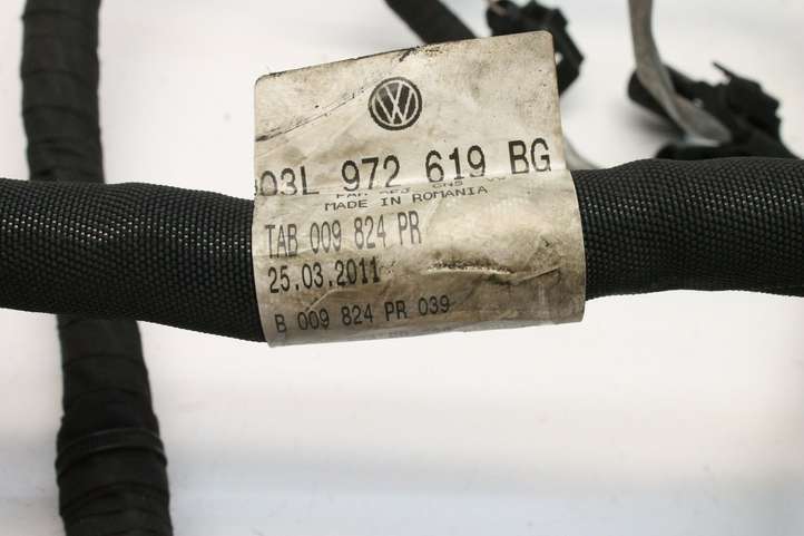 Volkswagen PASSAT B7 (2011 - 2014)  03L972619BG Проводка двигателя
