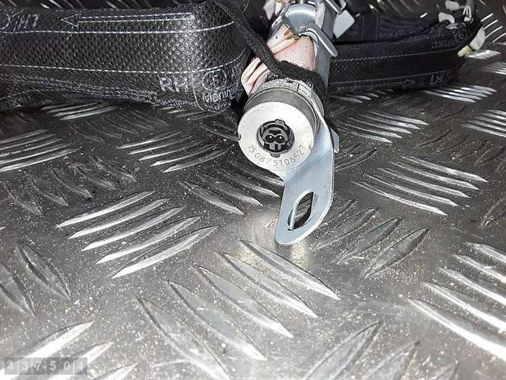 Citroen DS3 (2010 - 2016)  9802840980 Звукоизоляция крыши