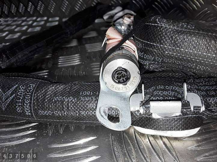 Citroen DS3 (2010 - 2016)  9802841080 Звукоизоляция крыши