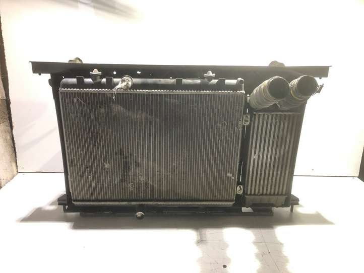Citroen C4 Picasso (2006 - 2013)  P9680533480 Комплект радиаторов
