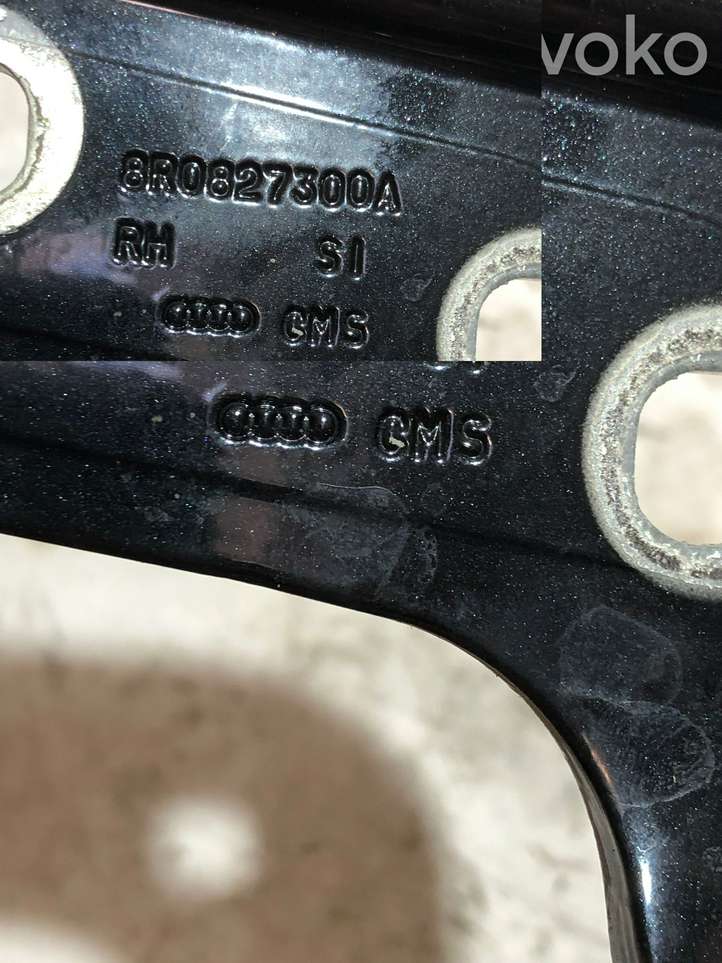 Audi Q5 (2008 - 2012)  8r0827300a Петля (петли) задней крышки