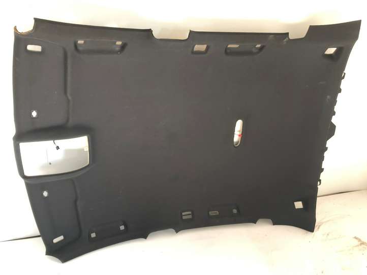 Audi Q5 (2008 - 2012)  8R0867501 Потолок