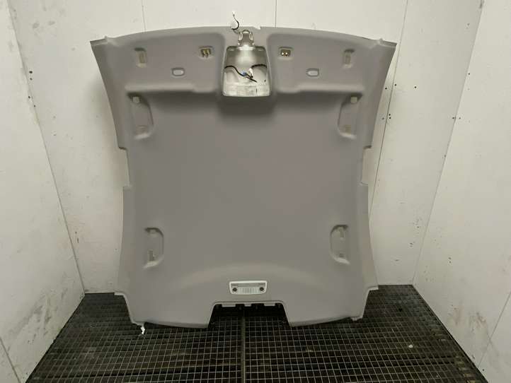Mercedes-Benz CLS C218,X218 (2011 - 2017)  A2186900050 Потолок