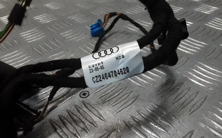 Audi A6 S6 C6 4F (2004 - 2008) CZ2464704620 Прочая электропроводка — фото 4