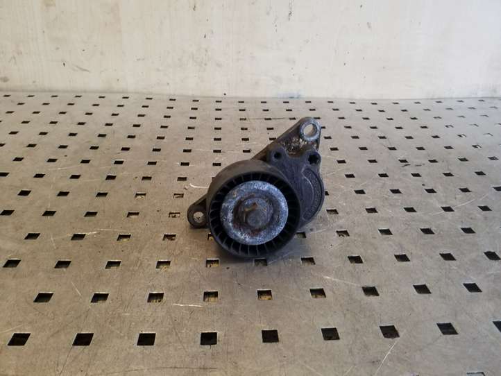 Nissan X-Trail T31 (2007 - 2014)  8200357406 Устройство натяжки ремня