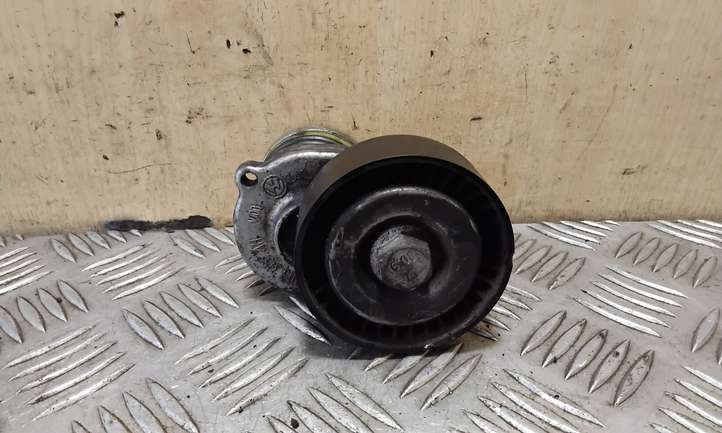 Volkswagen Polo (2005 - 2009)  038903315 Устройство натяжки ремня