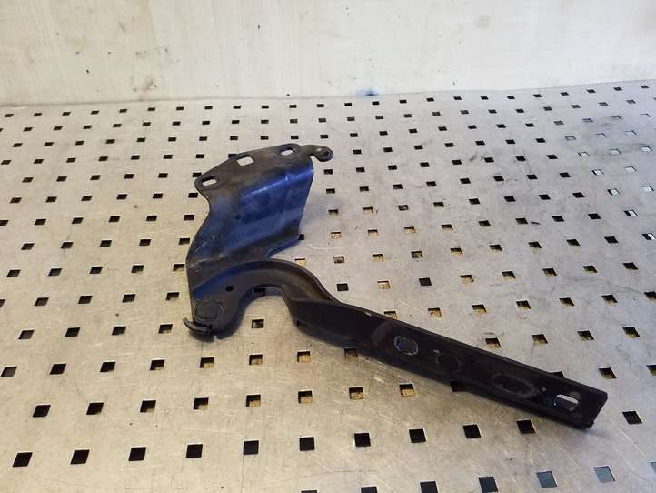 Volkswagen Passat CC (2012 - 2017)  3C8823302A Петля (петли) капота