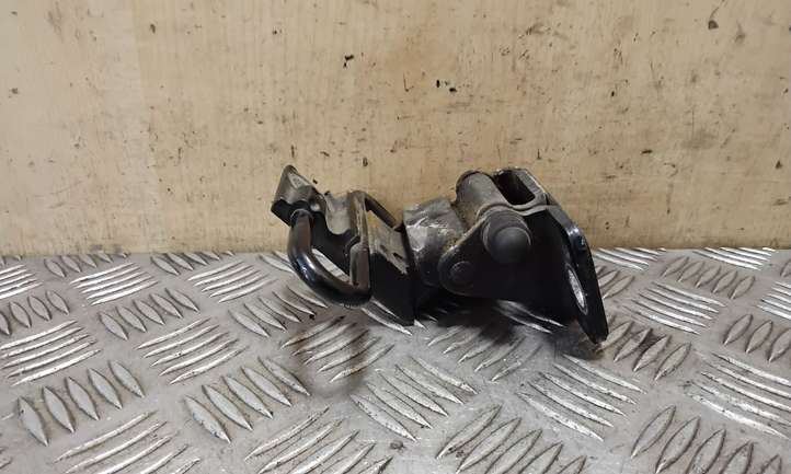 Volkswagen Passat CC (2008 - 2012)  3C8831412A Нижняя петля передней двери