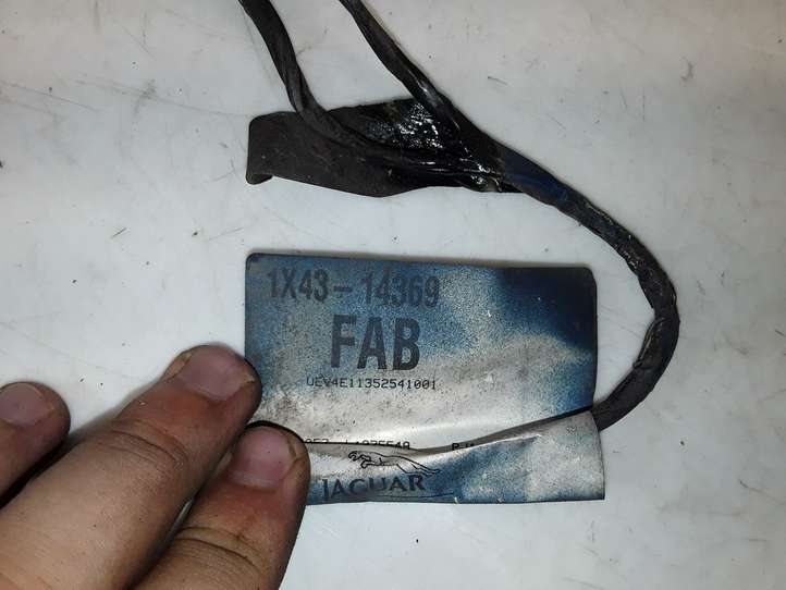 Jaguar X-Type (2001 - 2008)  1X4314369FAB Другой проводник