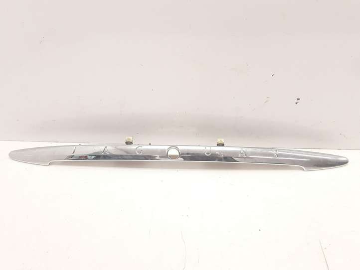Jaguar X-Type (2001 - 2008)  1X4313550AG Освещение номера