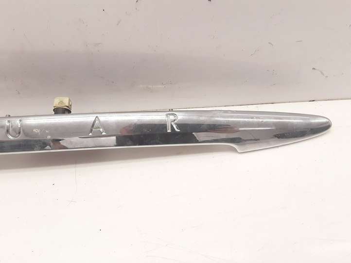 Jaguar X-Type (2001 - 2008)  1X4313550AG Освещение номера