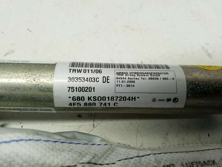 Audi A6 (2004 - 2008)  30353409C Звукоизоляция крыши