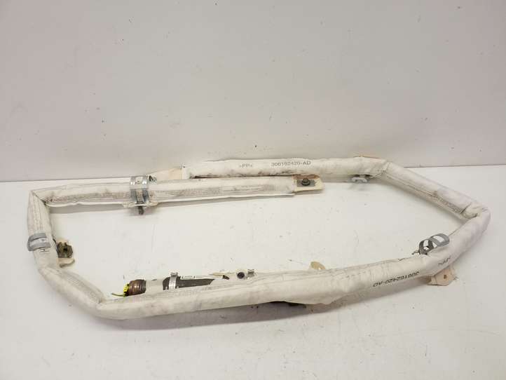 Opel Insignia A (2008 - 2017)  306162420AD Звукоизоляция крыши