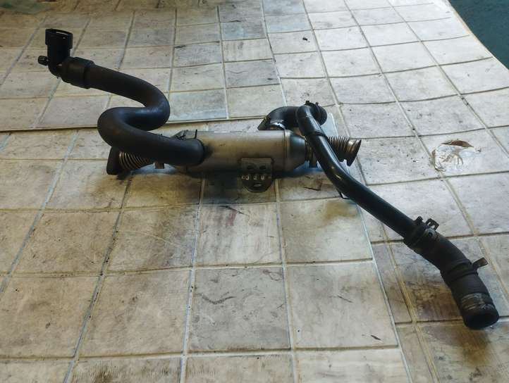 Peugeot 307 (2001 - 2005)  869922R Охладитель EGR