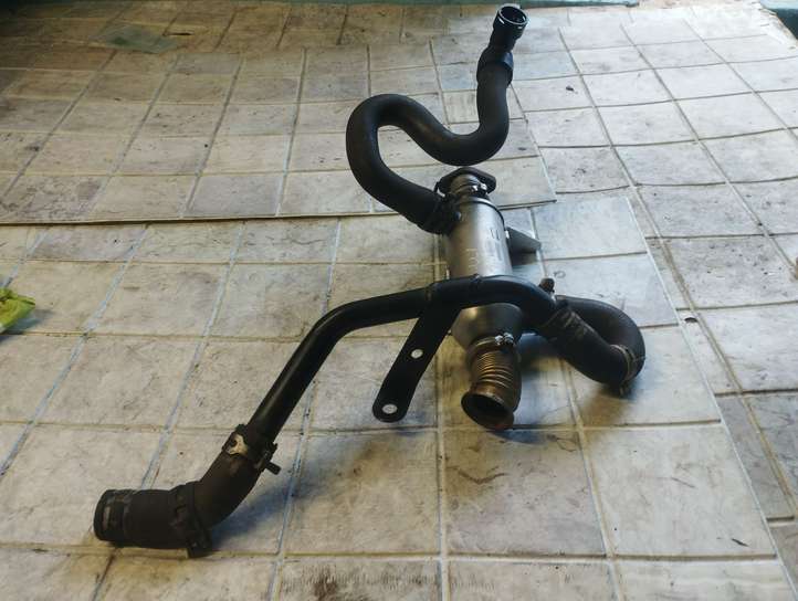 Peugeot 307 (2001 - 2005)  869922R Охладитель EGR