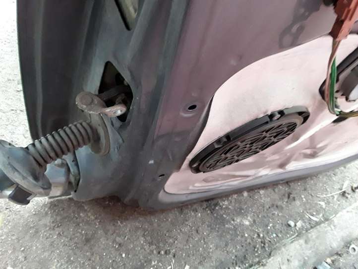 Citroen C3 (2002 - 2009)   Дверь