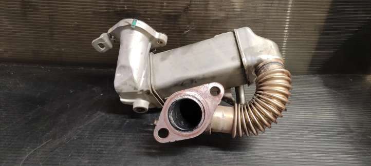 Nissan Qashqai (2010 - 2013)  147350264R Охладитель EGR