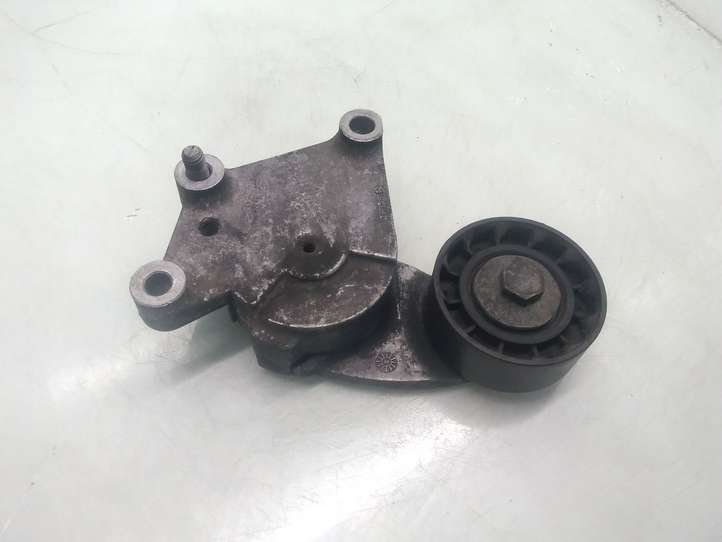 Ford Fusion (2006 - 2012)  846143 Устройство натяжки ремня