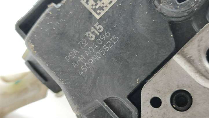 Citroen C3 (2009 - 2013)  PSA732315 Замок задней двери
