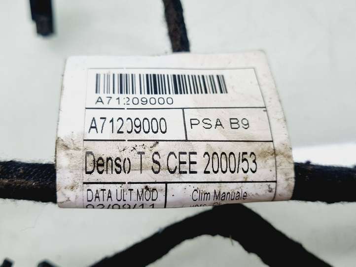 Citroen Berlingo (2012 - 2015)  A71209000 Проводка панели