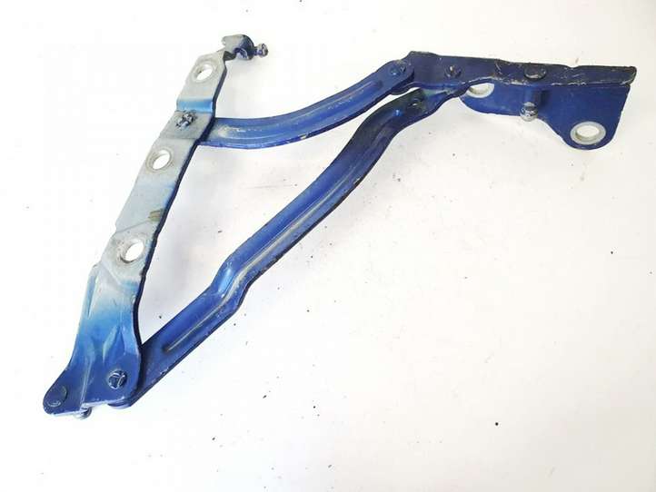 Volvo S40 (2004 - 2007)  30716248 Петля (петли) задней крышки