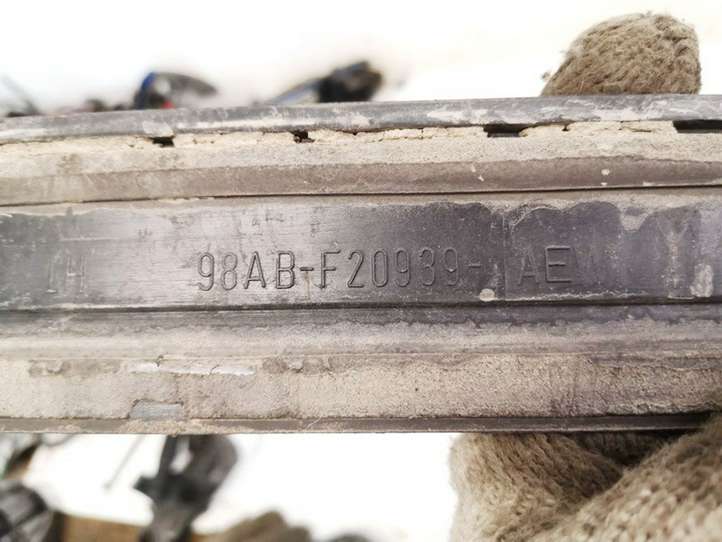 Ford Focus (1998 - 2004)  98abf20939ae Отделка (молдинг) передней двери