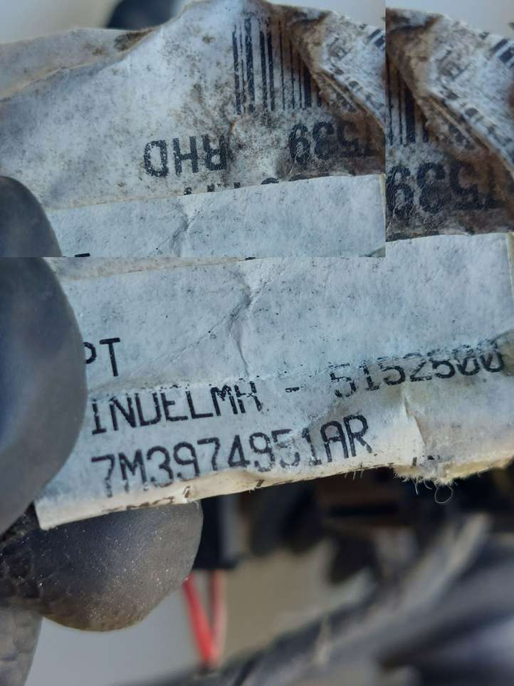 Volkswagen Sharan (2003 - 2010)  7M3974951AR Проводка передних дверей