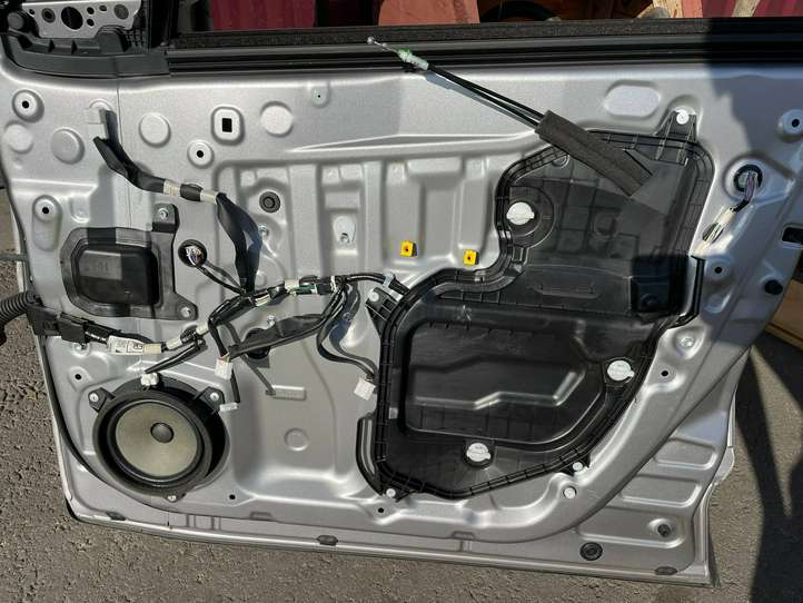 Toyota C-HR (2016 - 2022)   Дверь
