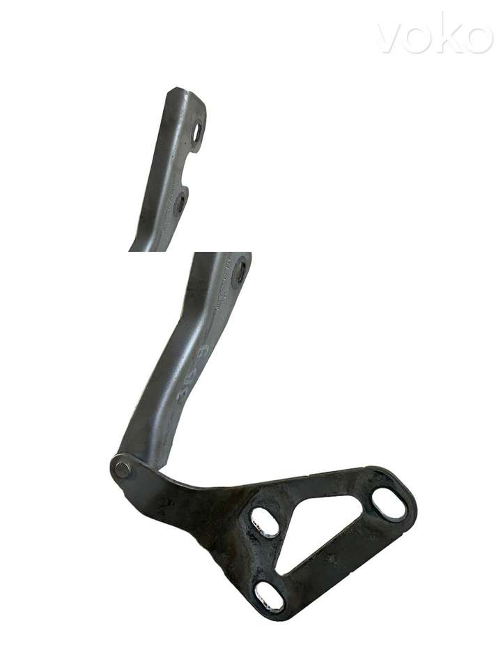 Opel Signum (2002 - 2008)  24435369 Петля (петли) капота