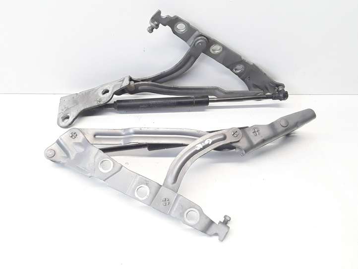 Volvo S40 (2004 - 2007)  30716249 Петля (петли) задней крышки