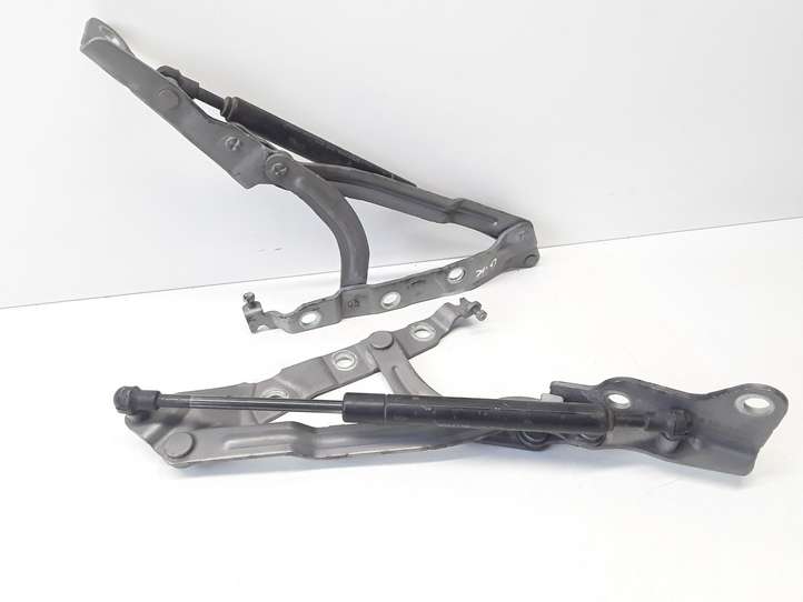 Volvo S40 (2004 - 2007)  30716249 Петля (петли) задней крышки