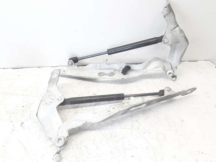Volvo S80 (2009 - 2013)  31250185 Петля (петли) капота