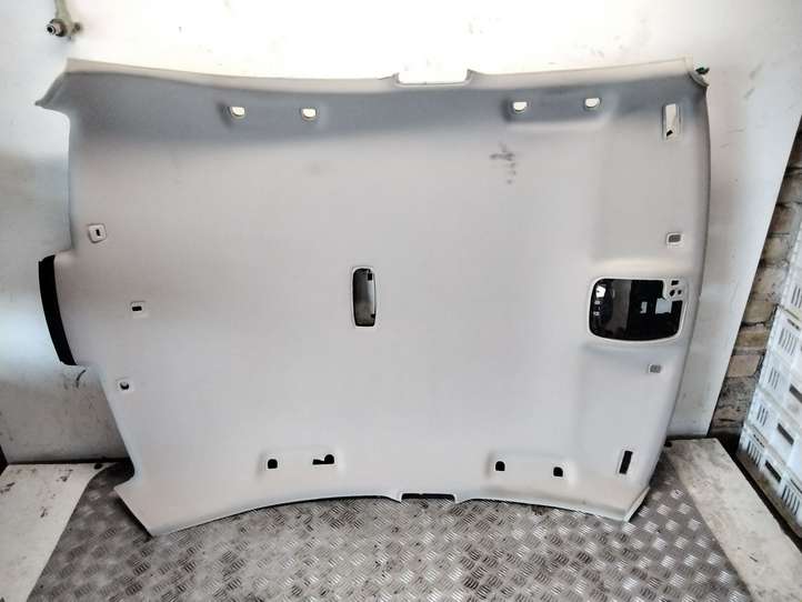 Volvo S80 (2006 - 2009)  30667543 Потолок