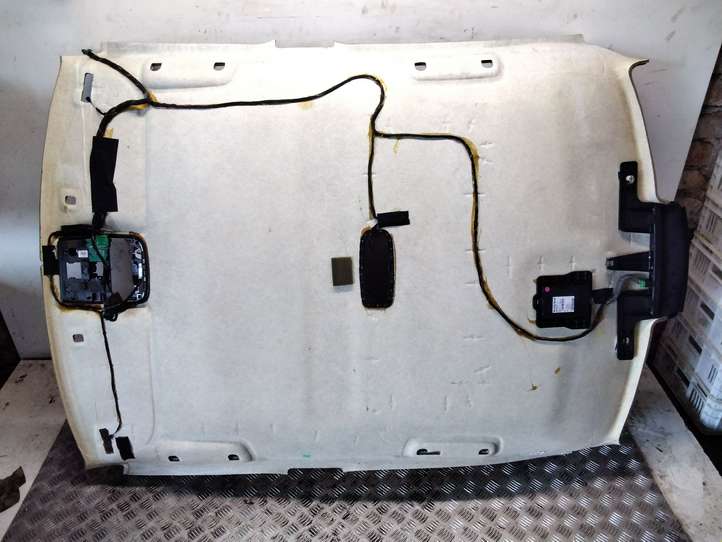 Volvo S80 (2006 - 2009)  30667543 Потолок