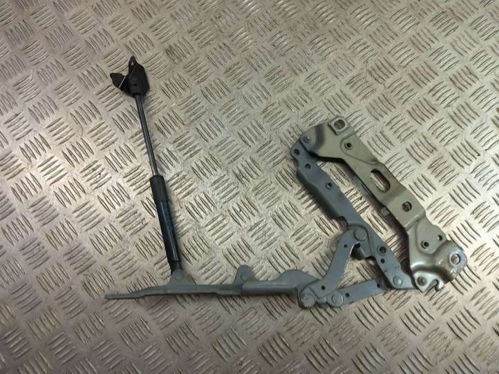 BMW 7 F01 F02 F03 F04 (2008 - 2016)  7184190 Петля (петли) капота