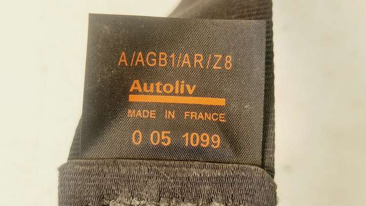 Peugeot 607 (2000 - 2004)  0051099 Задний ремень безопасности