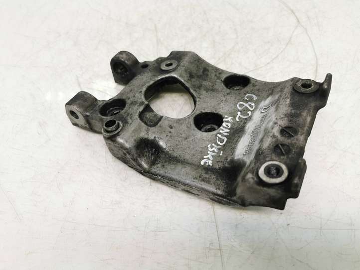 Citroen Berlingo (2003 - 2007)  9646719580 Кронштейн