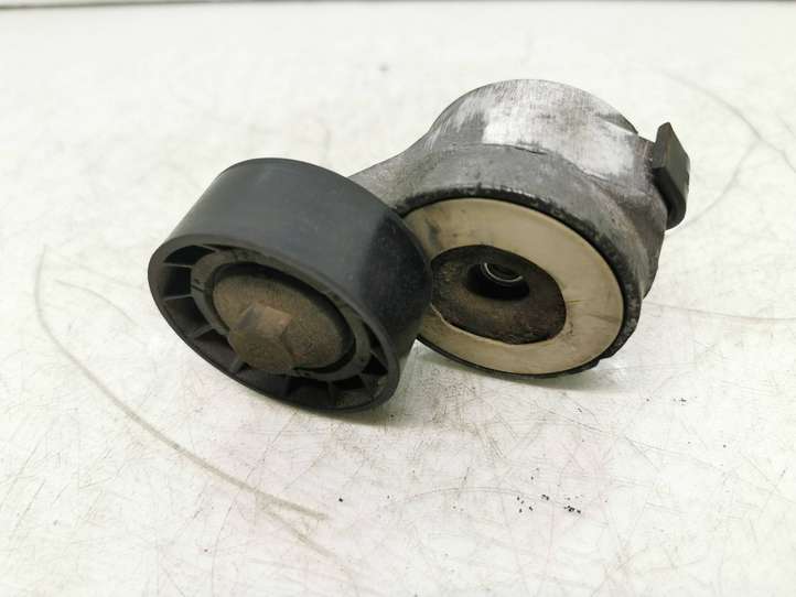 Citroen Berlingo (2003 - 2007)  Tf077g Натяжитель ремня генератора