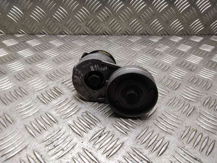 Opel Meriva (2006 - 2010)  950240 Устройство натяжки ремня