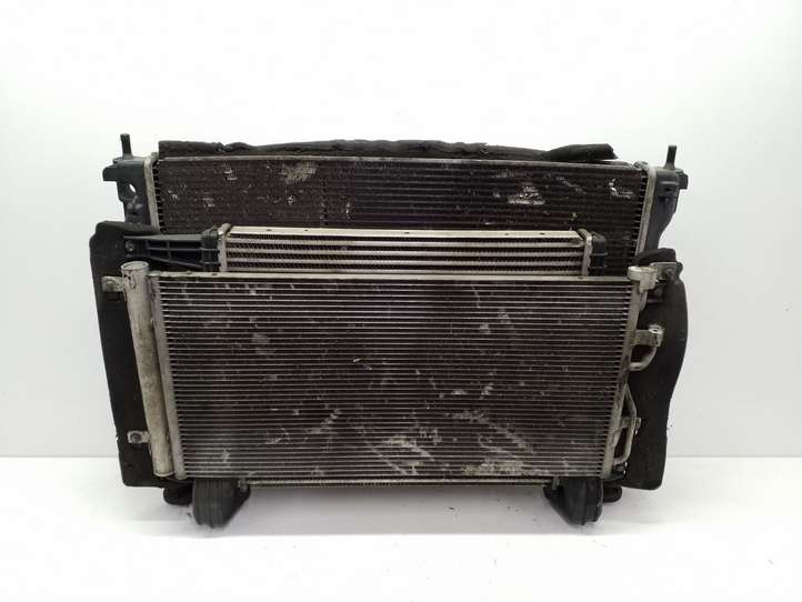 Chevrolet Captiva (2011 - 2013)  95102335 Комплект радиаторов