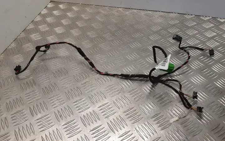 Land Rover Range Rover Evoque (2015 - 2018)  FK7219C603FA Другой проводник