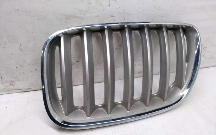BMW X5 E53 (1999 - 2006)  7124815 Верхняя решётка