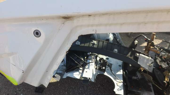 Toyota Prius (XW50) (2015 - )   Крыша